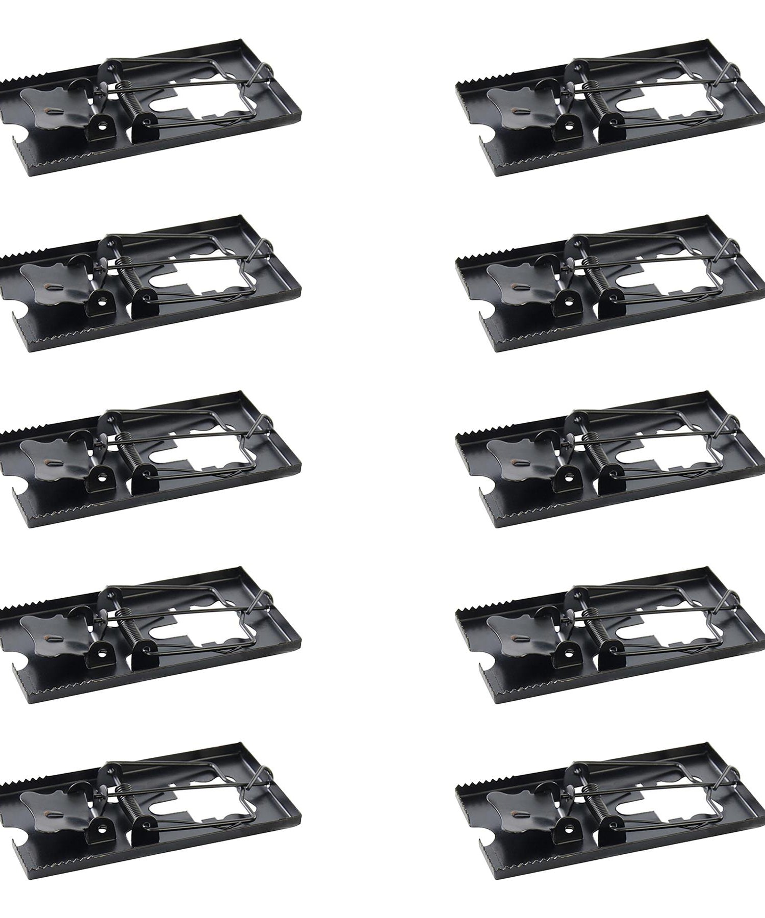 10 Pieces of Professional Mouse Trap, Rat Trap by Dapetz