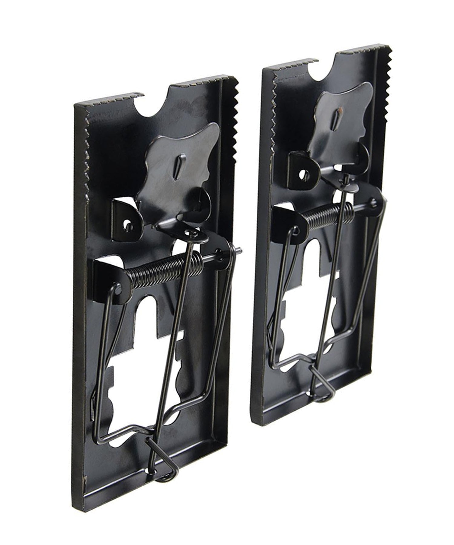 10 Pieces of Professional Mouse Trap, Rat Trap by Dapetz