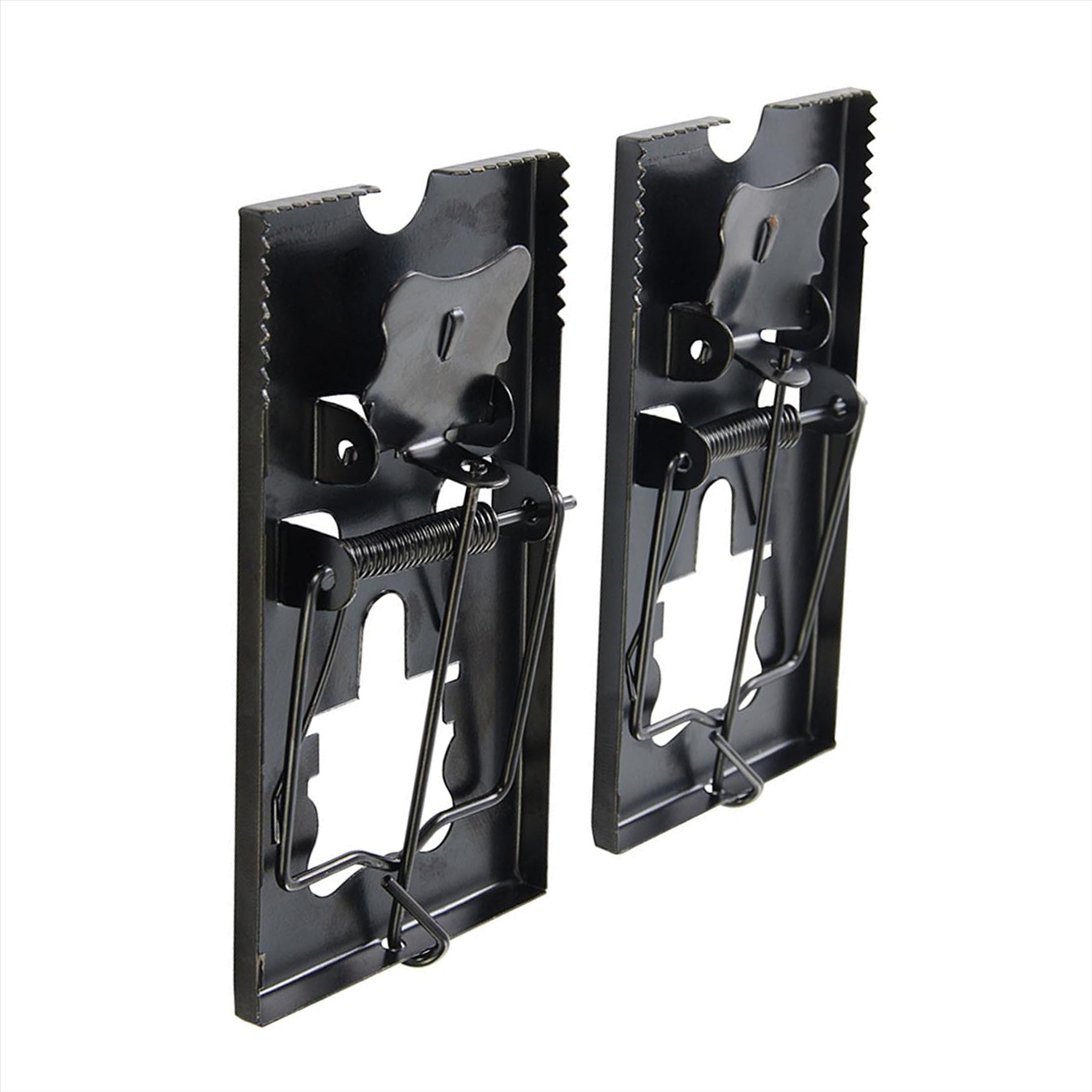 10 Pieces of Professional Mouse Trap, Rat Trap by Dapetz