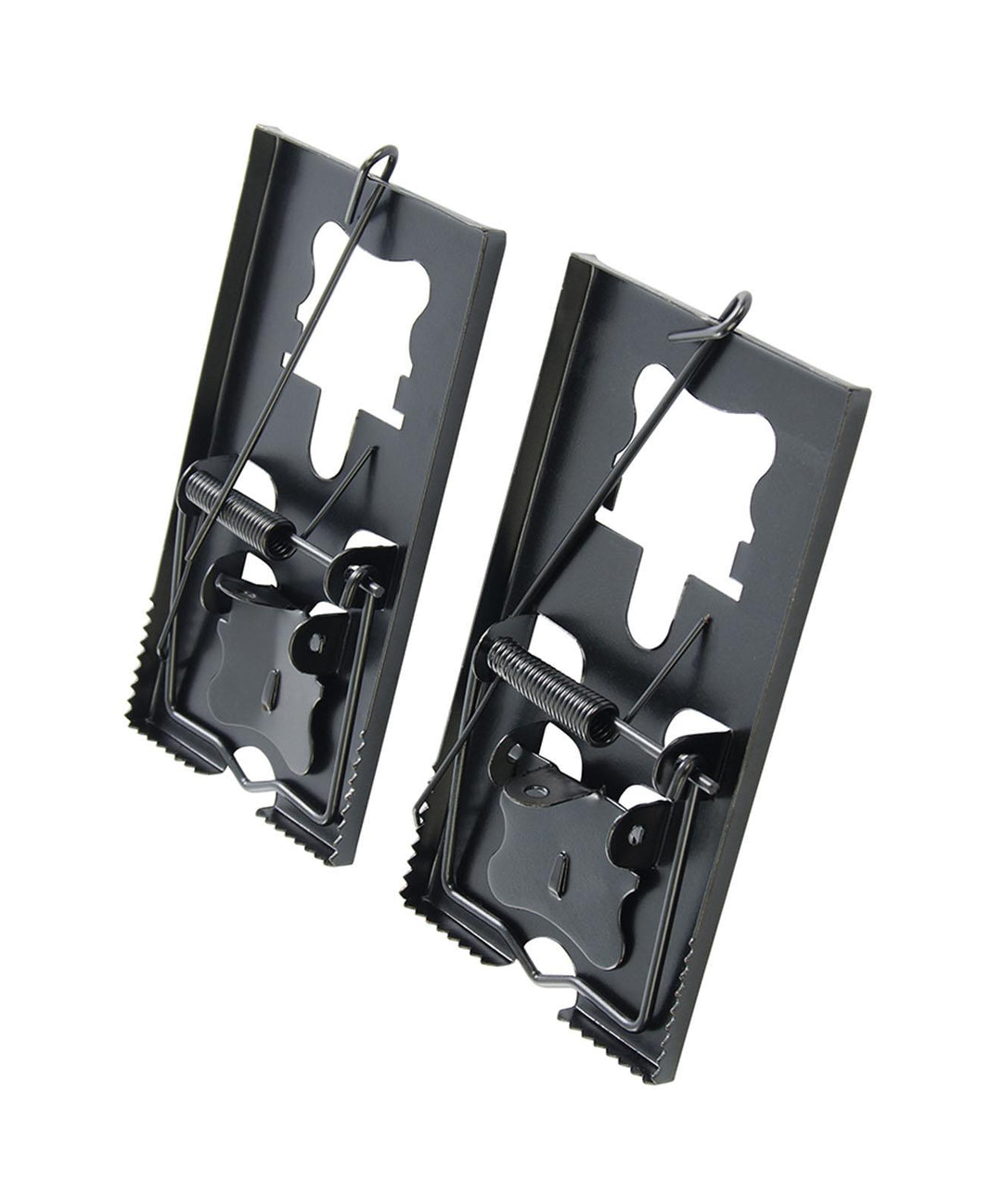 10 Pieces of Professional Mouse Trap, Rat Trap by Dapetz