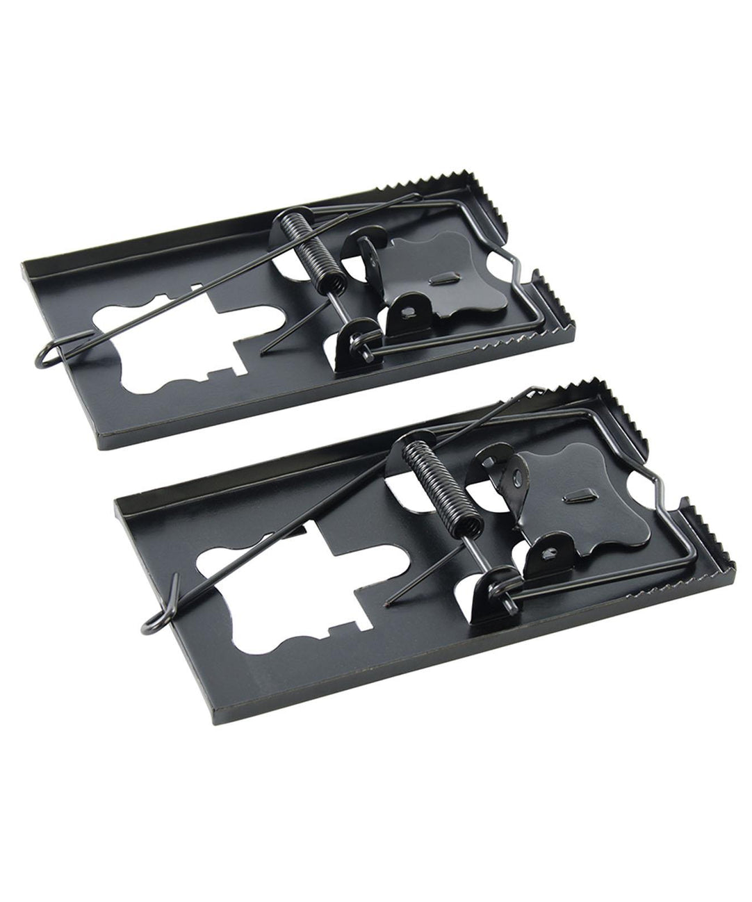 10 Pieces of Professional Mouse Trap, Rat Trap by Dapetz