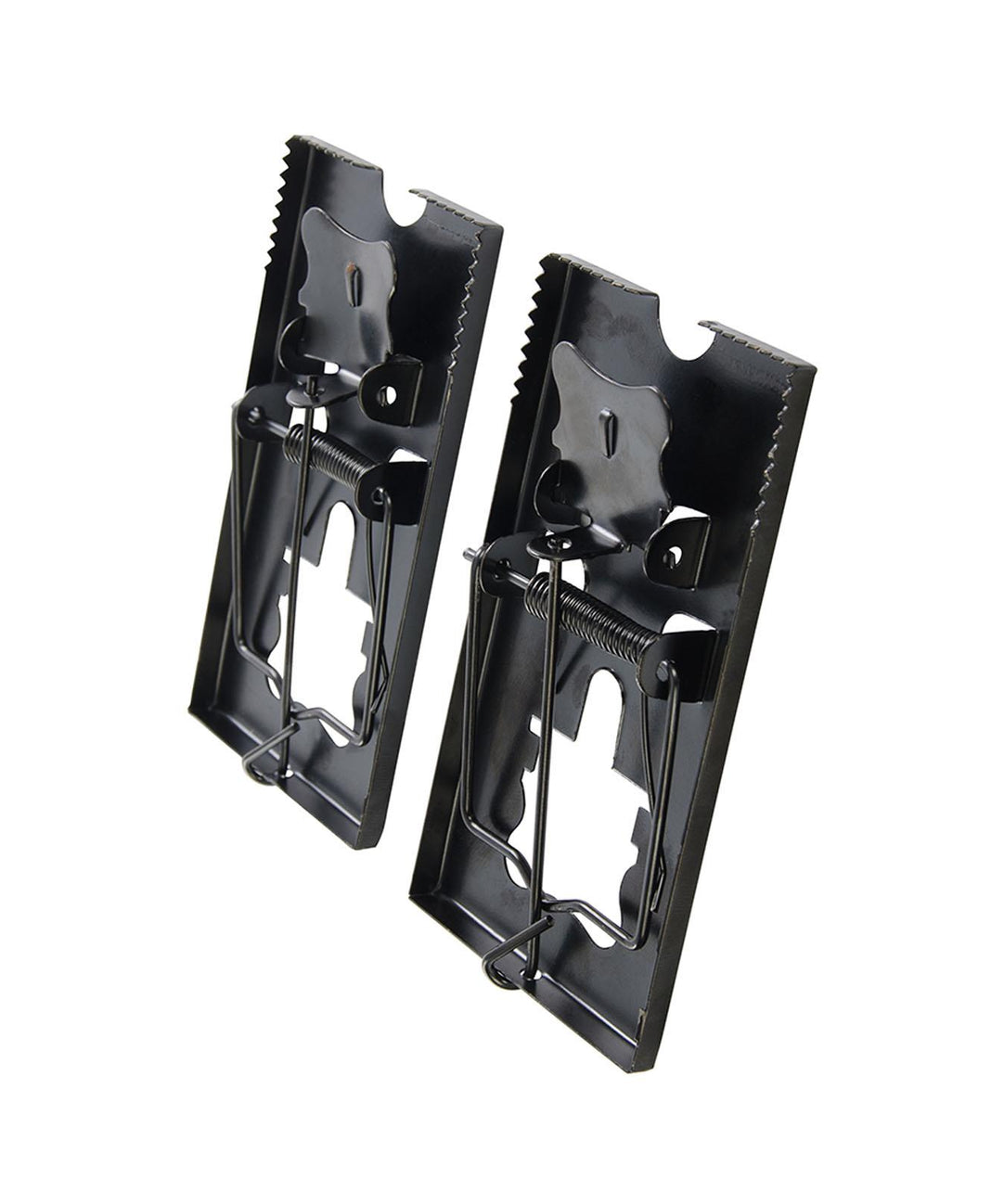 10 Pieces of Professional Mouse Trap, Rat Trap by Dapetz