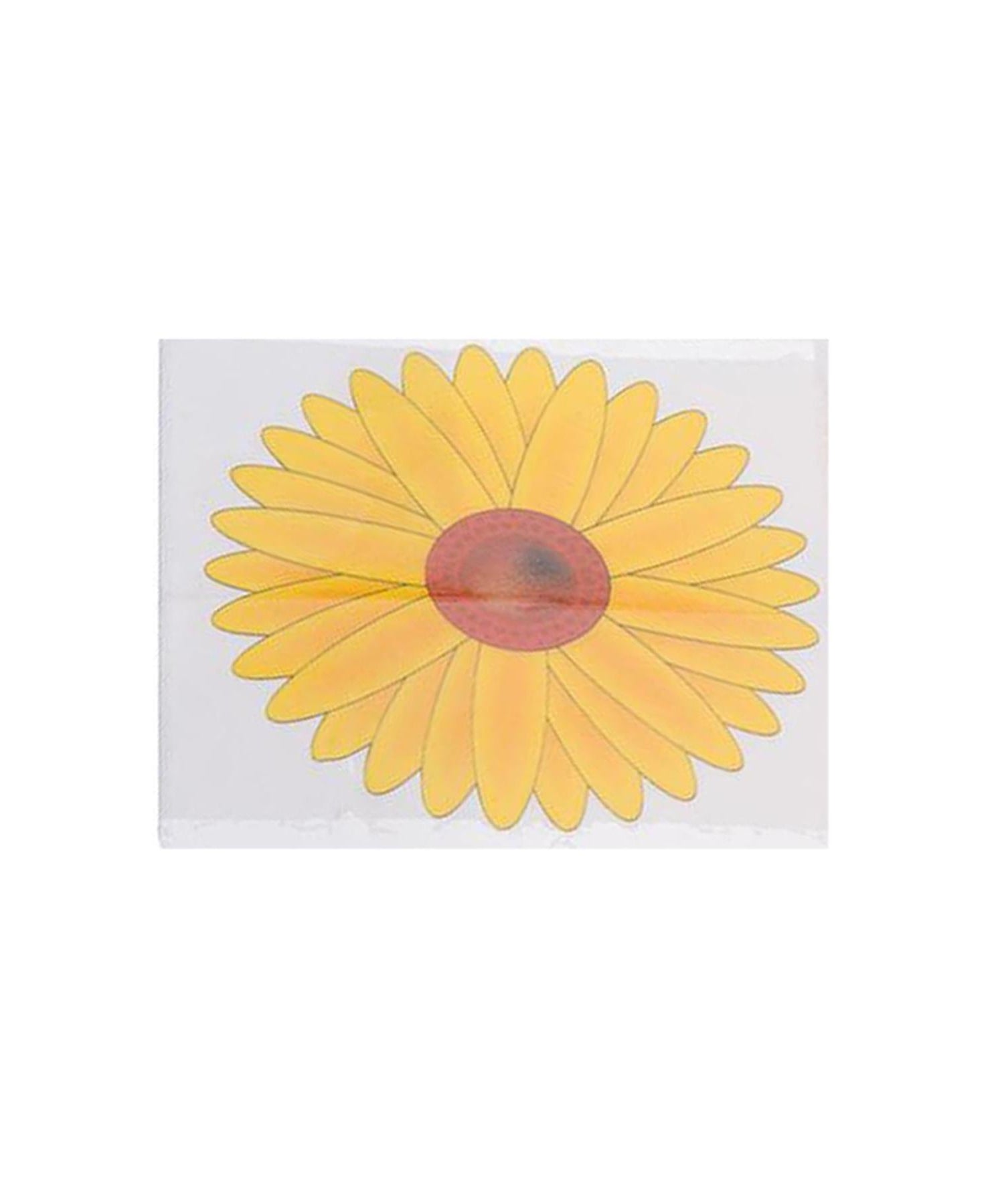 Window Traps,Insect Killer Papers,,Indoor