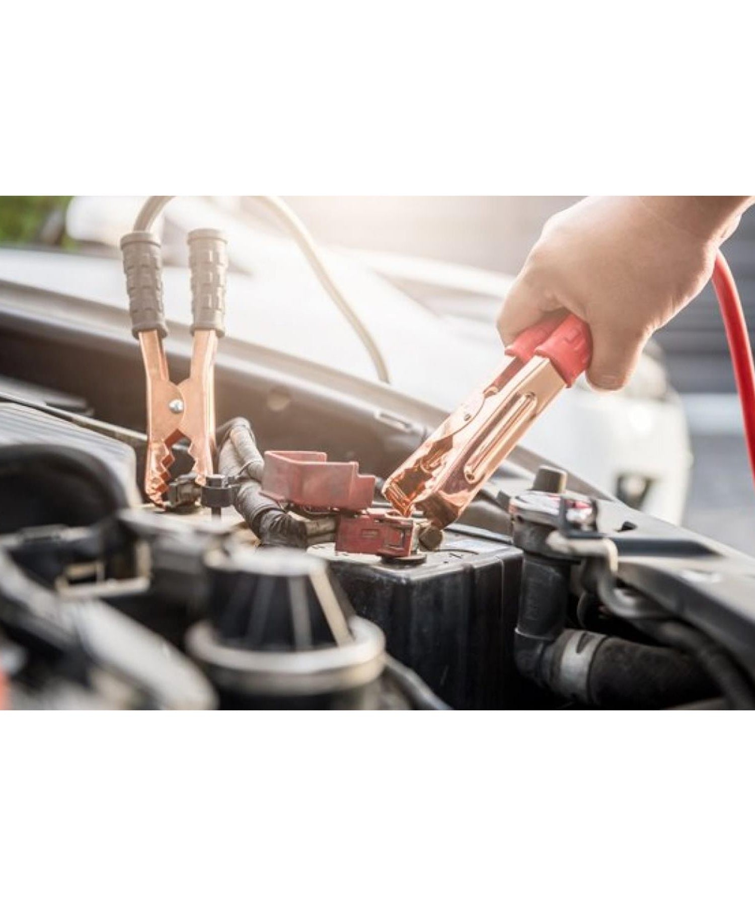 3 Meter 1200Amp Jump Leads | Heavy Duty Booster Cables for Car, Van, Truck by Dapetz