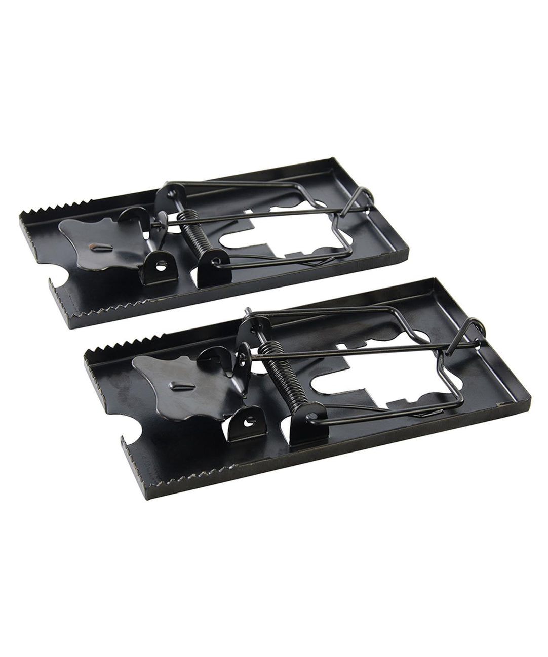 10 Pieces of Professional Mouse Trap, Rat Trap by Dapetz