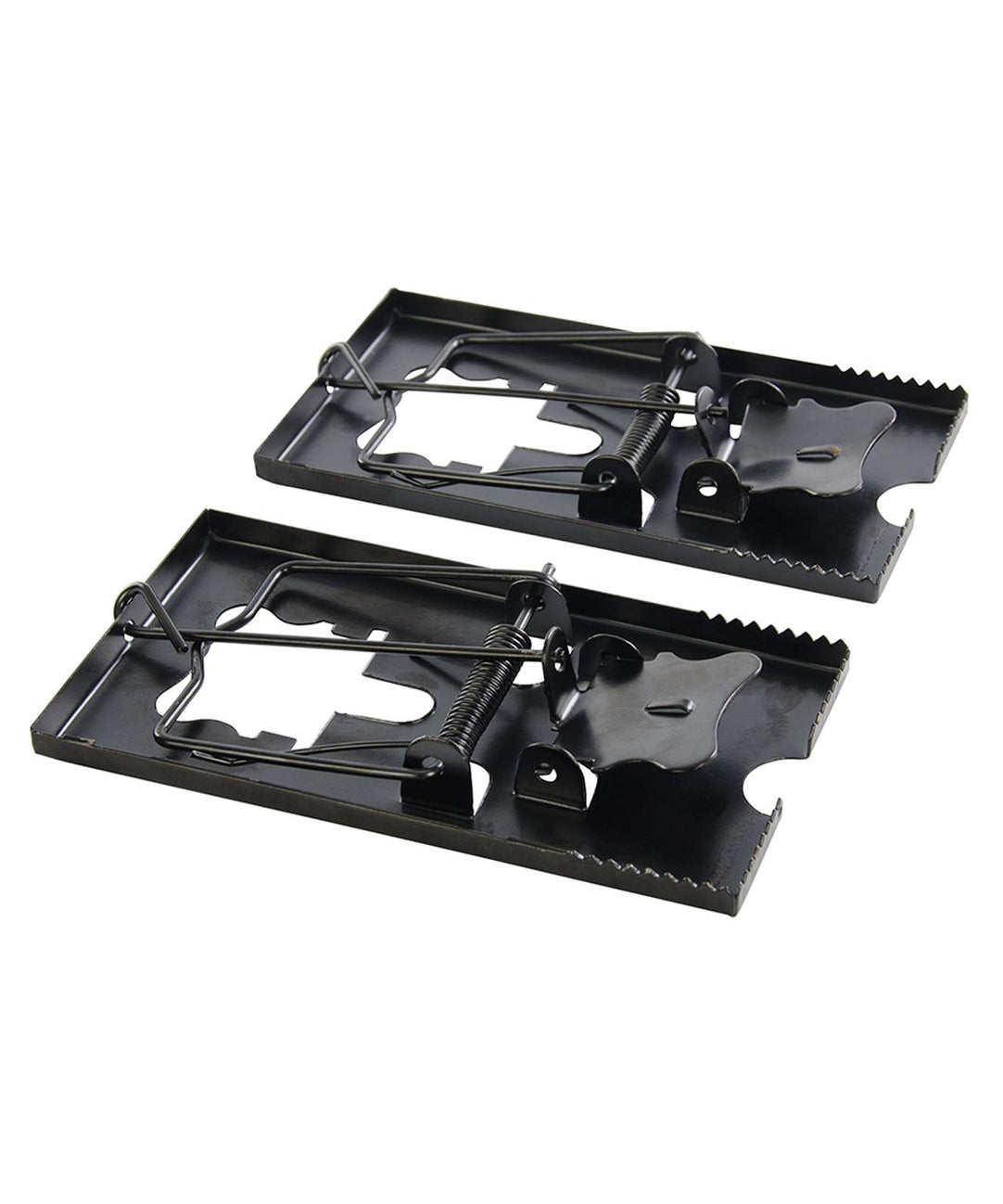 10 Pieces of Professional Mouse Trap, Rat Trap by Dapetz