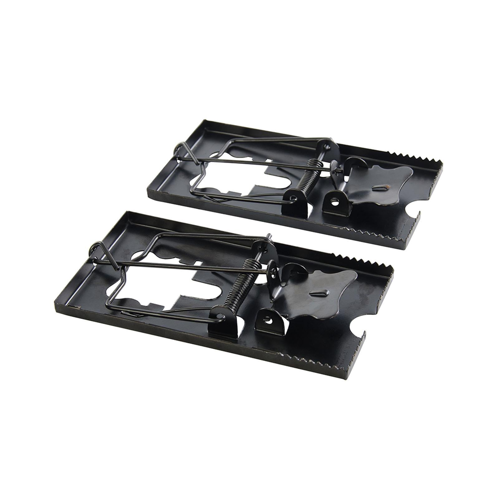 10 Pieces of Professional Mouse Trap, Rat Trap by Dapetz